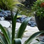Mad Sea Landscape Construction Solutions